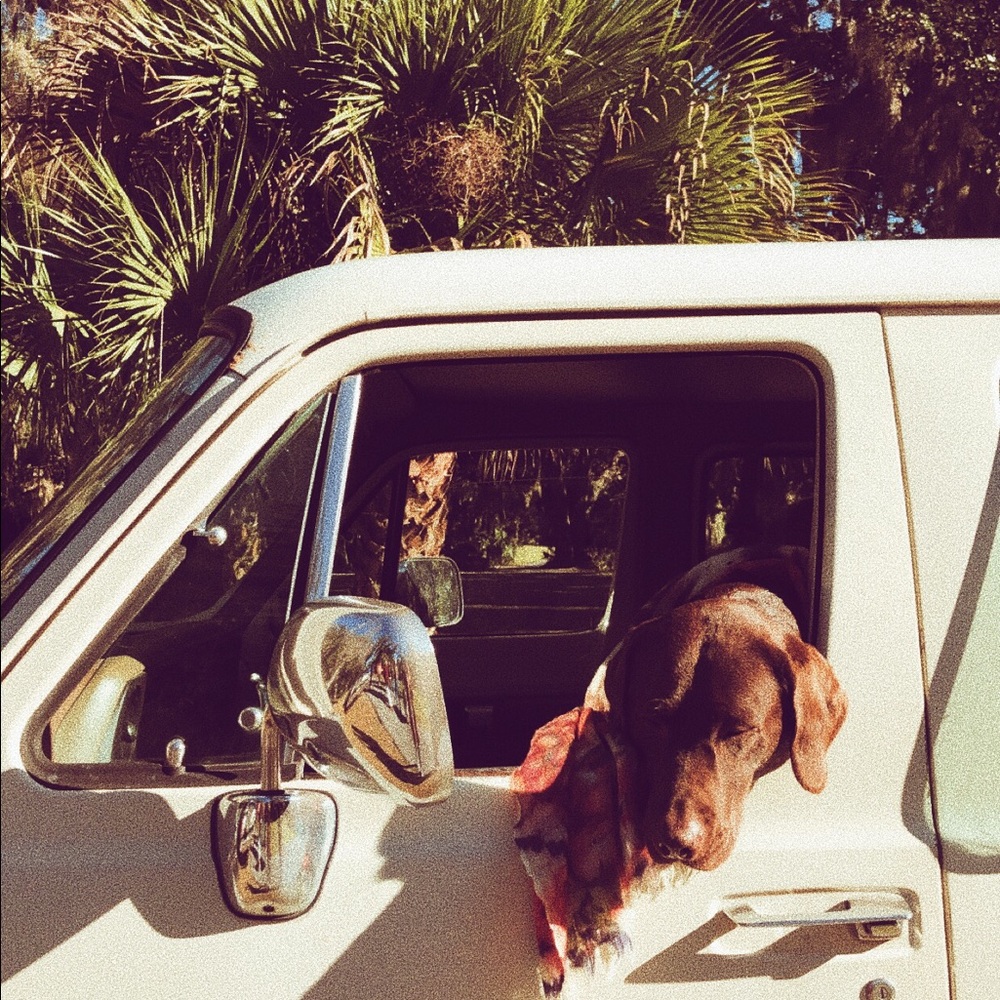 Meet your Posher, Maggie